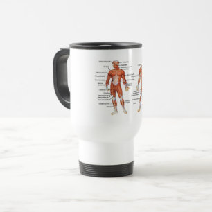 Mug De Voyage Diagrammes musculaires cadeaux101