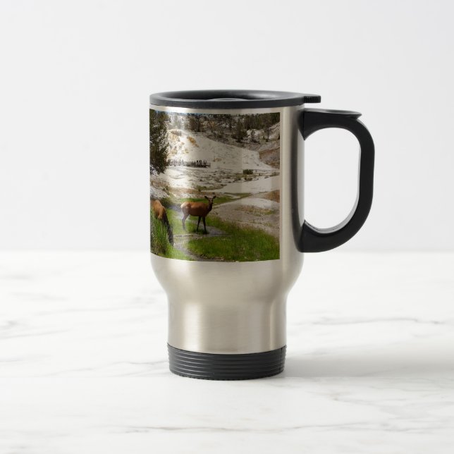 Mug De Voyage Élans chez Mammoth Hot Springs (Droit)