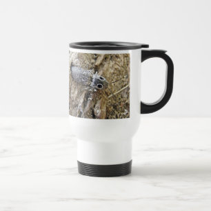 Mug De Voyage Eyed Elater Click Beetle - Alaus oculatus