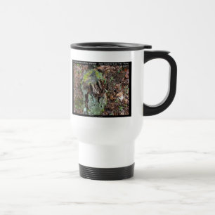 Mug De Voyage Hot Springs National Park, AR Upper Dogwood Loop
