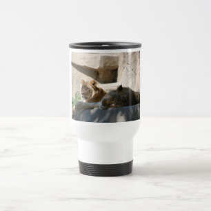 Mug De Voyage Lions africaines