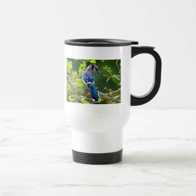 Mug De Voyage Nature Photographie Shy Blue Jay Vêtements Cadeaux (Droite)