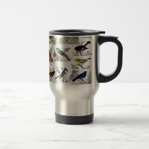 Mug De Voyage Oiseaux démodés