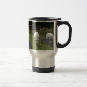 Mug De Voyage Pâturage des moutons de Gallois