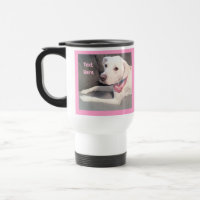 Photo Cute White Labrador Mix Dog With Scarf Tr