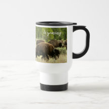 Photographie de la nature du bison du Wyoming