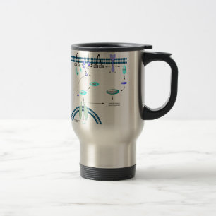 Mug De Voyage Voie de GPCR