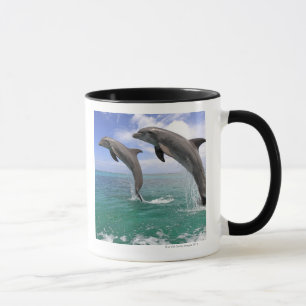 Mug Delfin, Delphin, Tuemmler plus brut, Tursiops 4