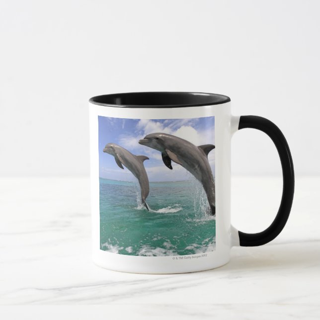 Mug Delfin, Delphin, Tuemmler plus brut, Tursiops 4 (Droite)