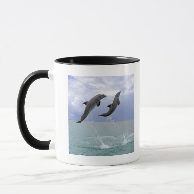 Mug Delfin (Tuemmler plus brut) (Gauche)