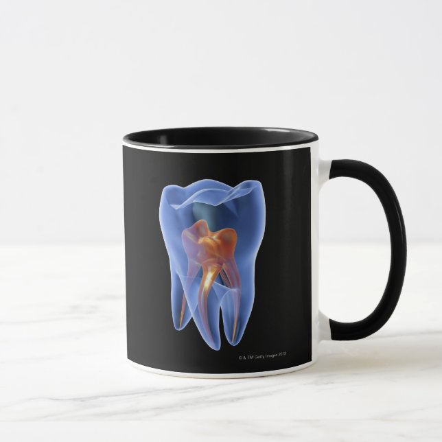 Mug Dent, section transversale transparente d'une (Droite)