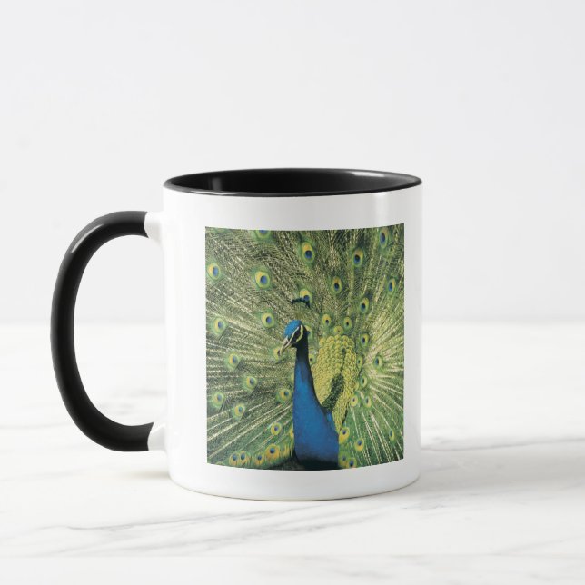 Mug Déploiement de paon (Gauche)