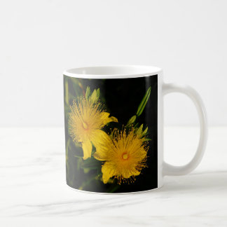 Mug des fleurs de Sunburst