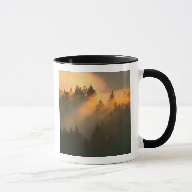 Mug Des séquoias dans le brouillard côtier, comté de M (Droite)