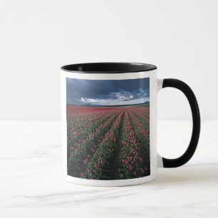 Mug Des tulipes roses et rouges brillent sous un ciel