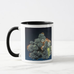 Mug Descloizite sur la calcite