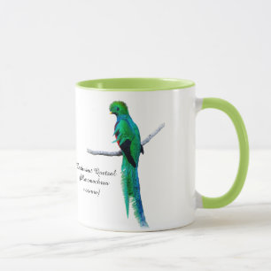 Mug Dessin quetzal Illustration d'oiseau Aquarelle