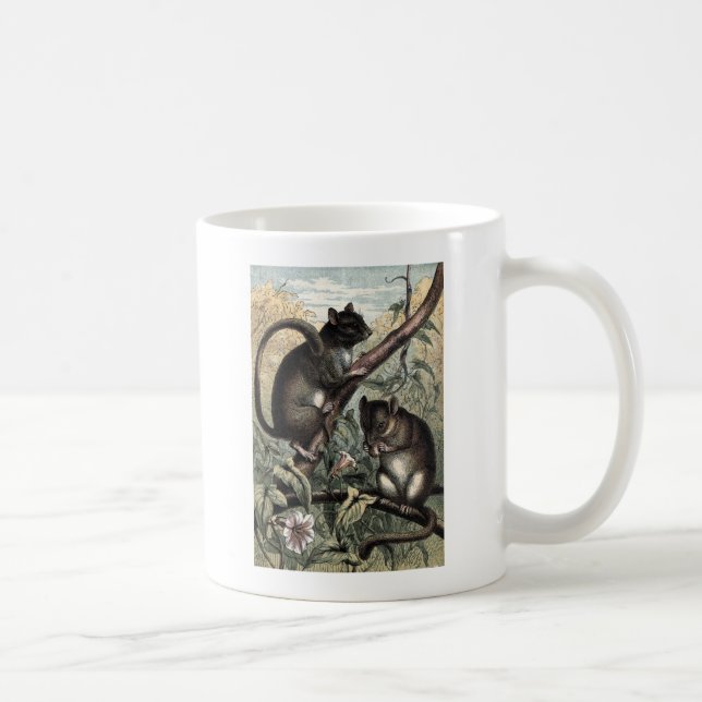 Mug Dessin vintage : Le loir (Droite)