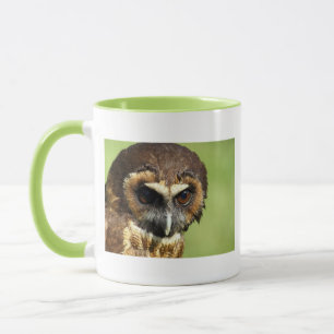 Mug Destin animal d'harmonie d'arbre de parc naturel