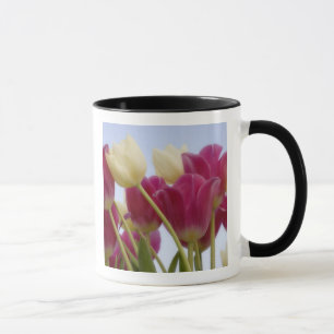 Mug Détail de tulipes. Crédit : Don Paulson /