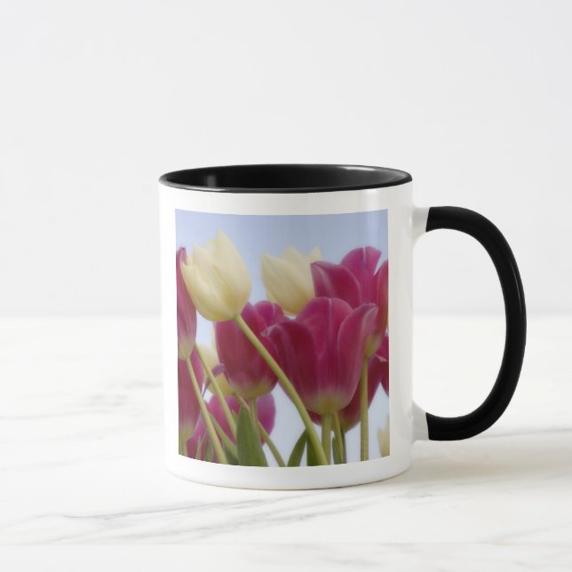 Mug Détail de tulipes. Crédit : Don Paulson / (Droite)
