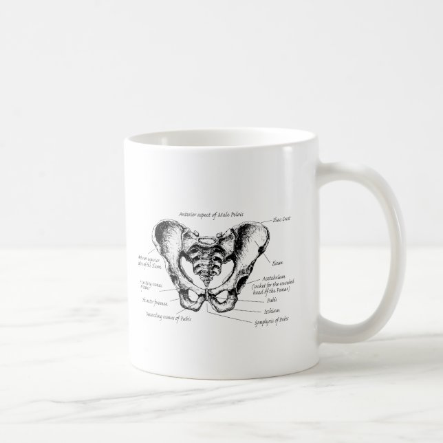 Mug Détails masculins de bassin (Droite)