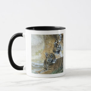 Mug Détente de tigres de Bengale