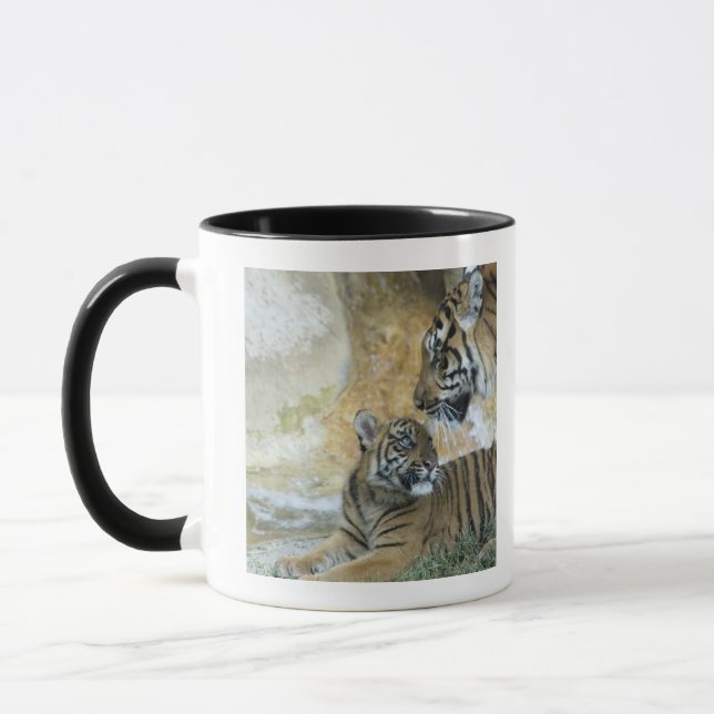 Mug Détente de tigres de Bengale (Gauche)