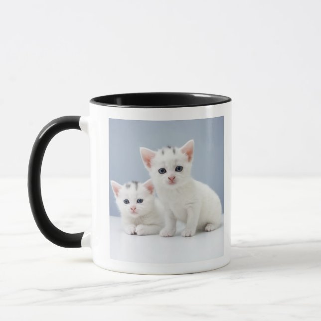 Mug Deux chatons blancs très jeunes regardent fixement (Gauche)