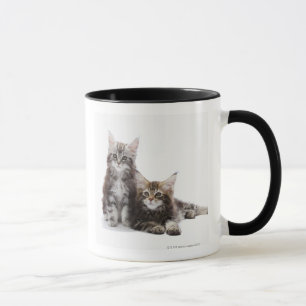 Mug Deux chatons de chat de ragondin du Maine