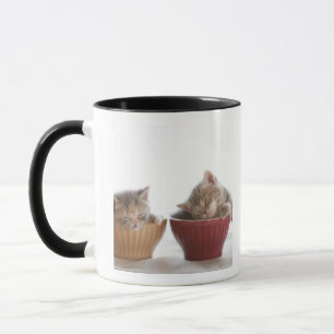 Mug Deux chatons dormant dans des cuvettes