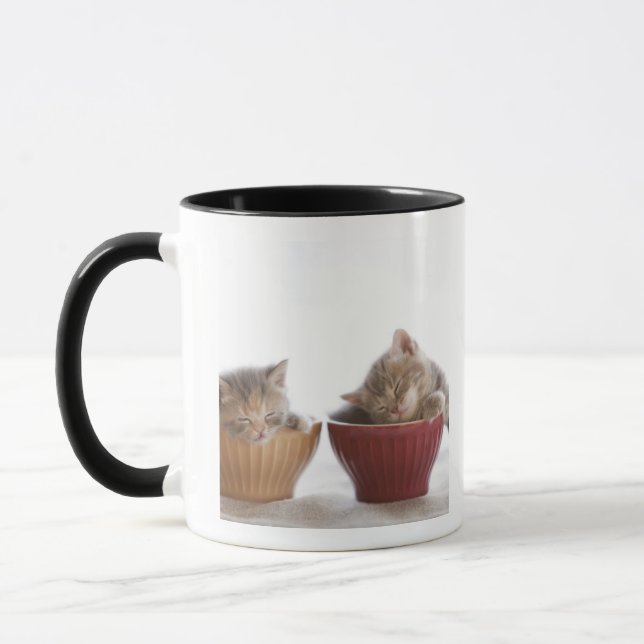 Mug Deux chatons dormant dans des cuvettes (Gauche)