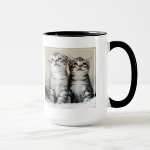 Mug Deux chatons mignons