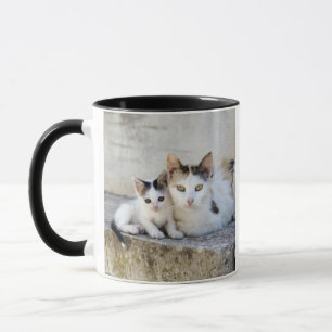Mug Deux chats sur les étapes en pierre