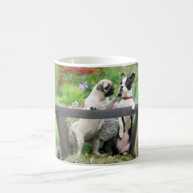 Mug Deux chiens par chiot carlin et Boston Terrier dan (Centre)