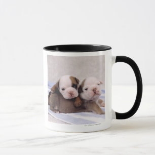 Mug Deux chiots de bouledogue sur la serviette
