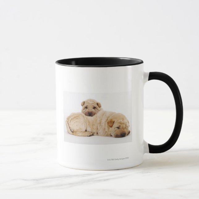 Mug Deux chiots de Shar Pei dormant, tir de studio (Droite)