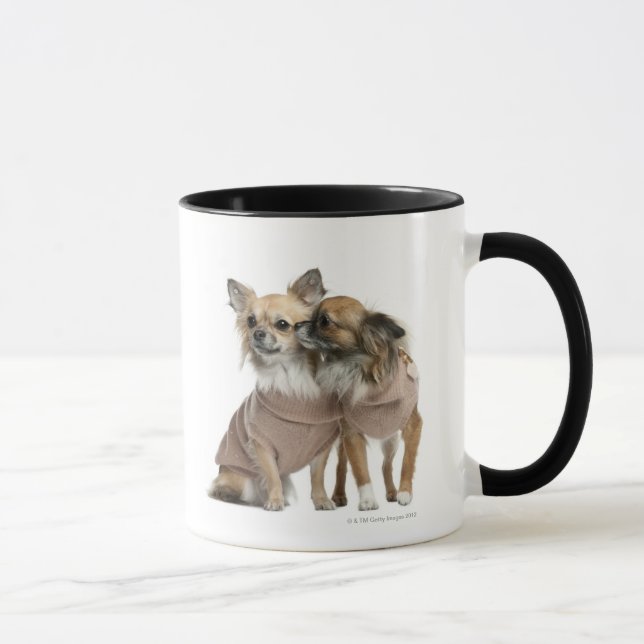 Mug Deux chiwawas habillés (2 années) (Droite)