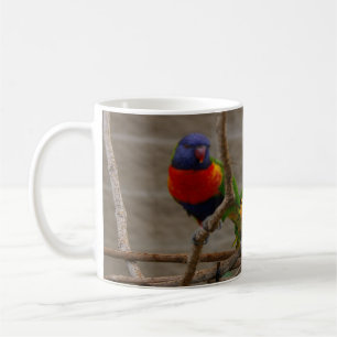 Mug Deux oiseaux de zoo. Amour un un autre, 15h12 de