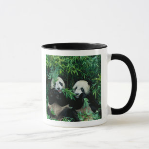 Mug Deux pandas mangeant du bambou ensemble, Wolong