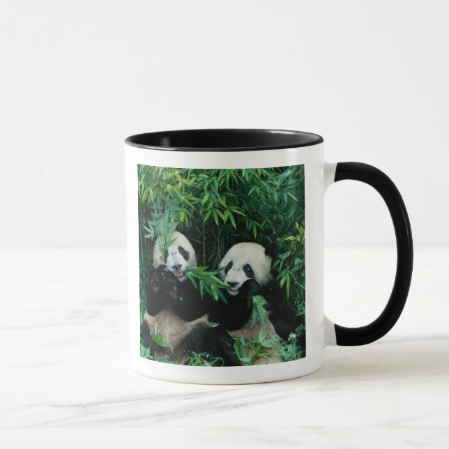 Mug Deux pandas mangeant le bambou ensemble, Wolong, 2 (Droite)