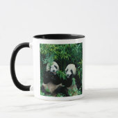 Mug Deux pandas mangeant le bambou ensemble, Wolong, 2 (Gauche)