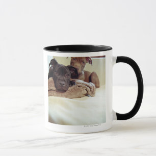 Mug Deux terriers de pitbull se reposant à