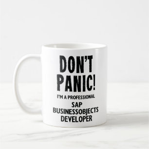 Mug Développeur SAP BusinessObjects (BO)