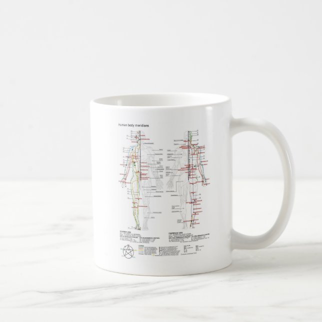 Mug  Diagram Schematic Chinese Meridians Human Body  (Droite)