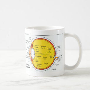 Mug Diagramme anatomique de la boule d'oeil humain