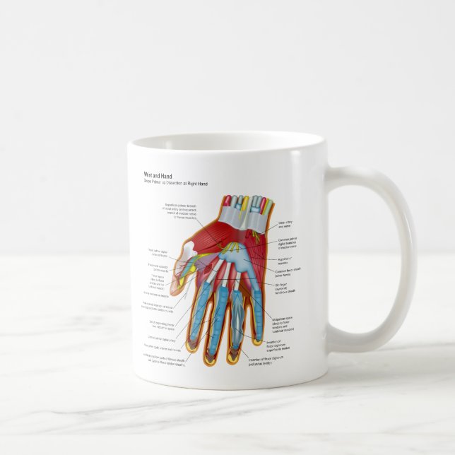 Mug Diagramme anatomique de la main et du poignet (Droite)