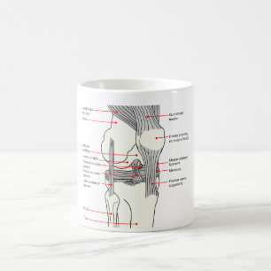 Mug Diagramme anatomique d'un joint humain du genou