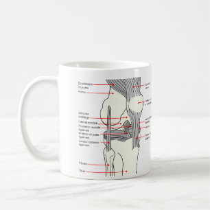 Mug Diagramme anatomique d'un joint humain du genou