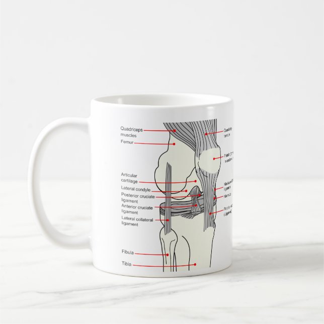 Mug Diagramme anatomique d'un joint humain du genou (Gauche)